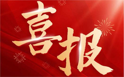 集團榮膺2025中國民營企業(yè)500強第249位，制造業(yè)民營企業(yè)500強第177位，排名較去年雙雙大幅提升