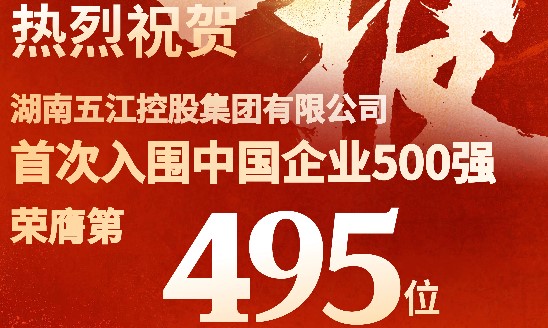 喜報！集團首次躋身中國企業(yè)500強